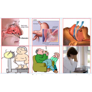 Cá thể hóa điều trị hen suyễn