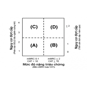 Phân độ bệnh phổi tắc nghẽn mạn tính